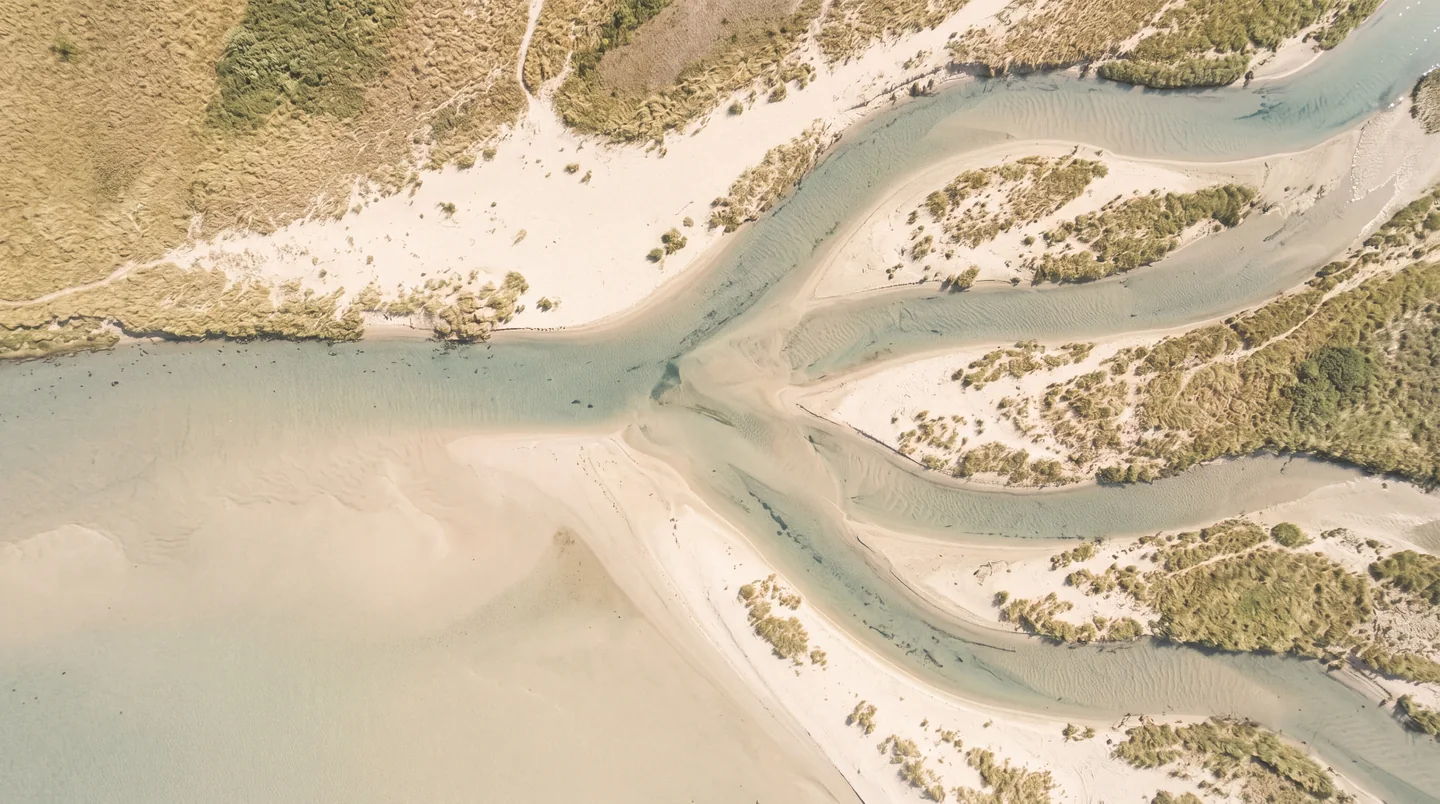 Seen from above, one shallow channel on a pale sandbar dividing into five streams that fan out between tufts of grass