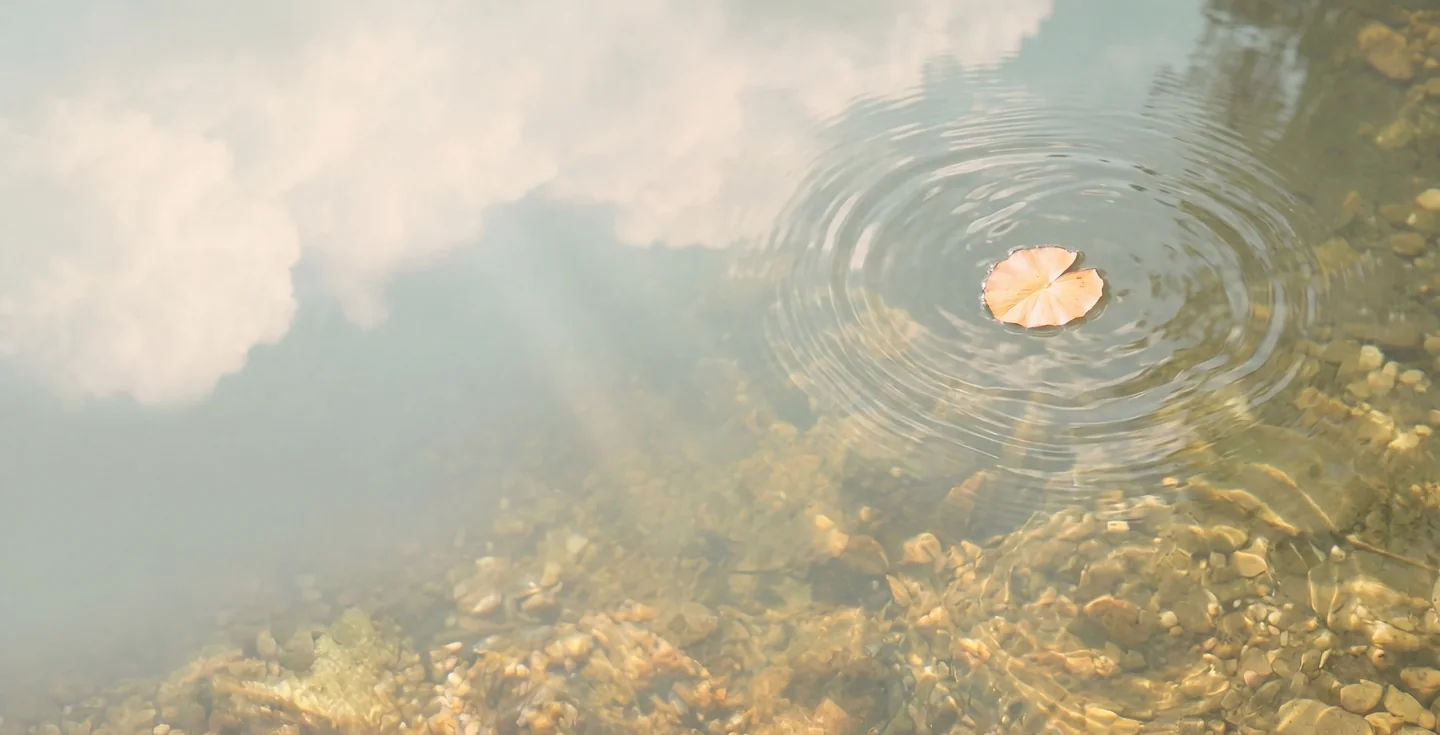 A single peach leaf turning in slow rings on a clear stream over golden pebbles, with clouds reflected on the water